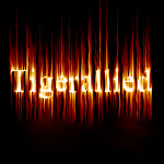 Tigeralliedavatar6cm