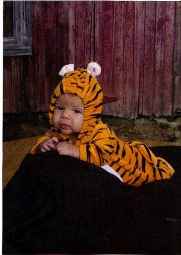 little tiger